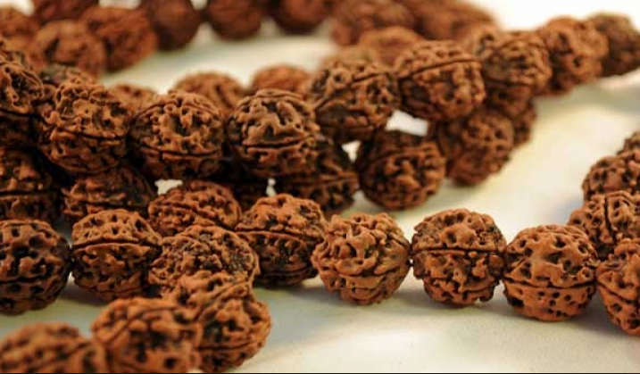 Halskette Shiva Rudraksha türkis