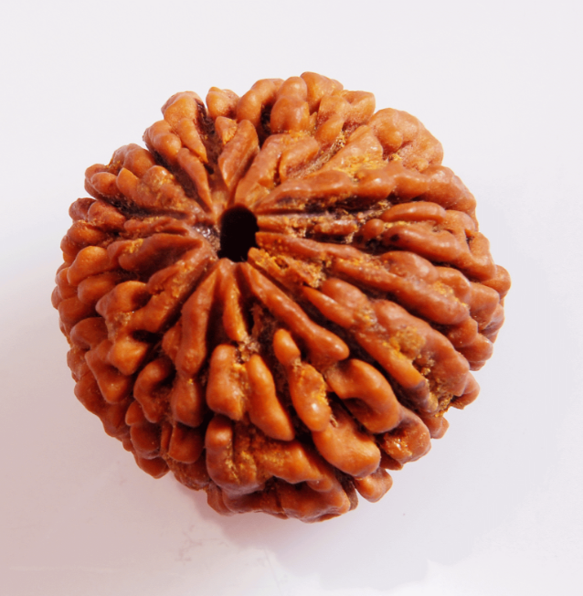 Halskette Shiva Rudraksha türkis
